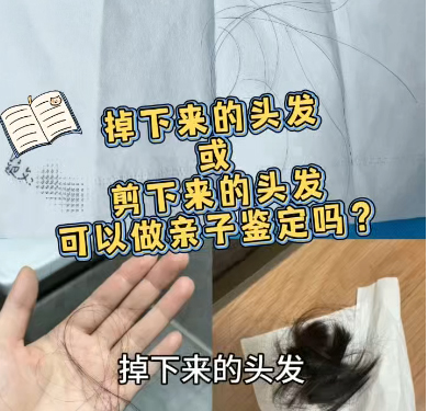 掉下来的头发或剪下来的头发可以做亲自鉴定吗？